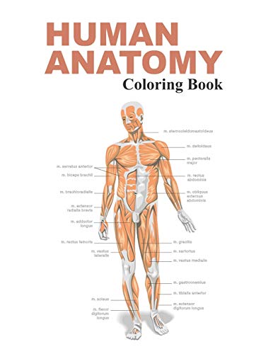 Human Anatomy Coloring Book