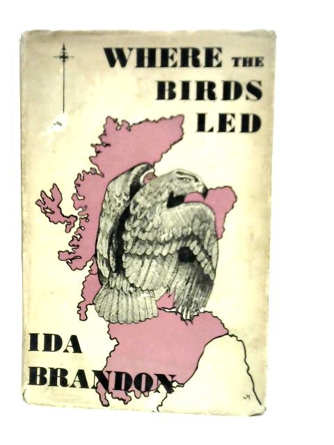Where the Birds Led