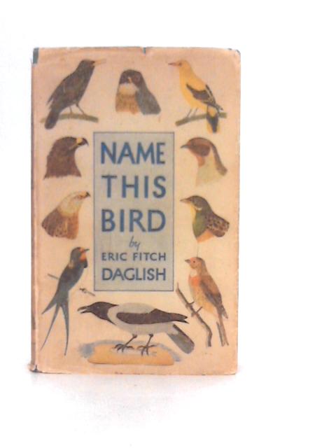 Name This Bird