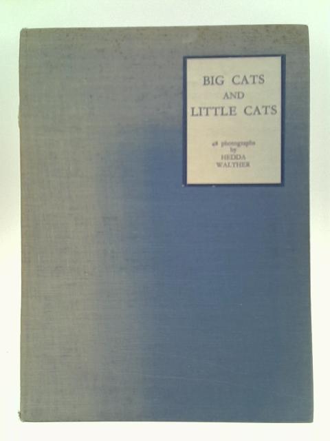 Big Cats and Little Cats