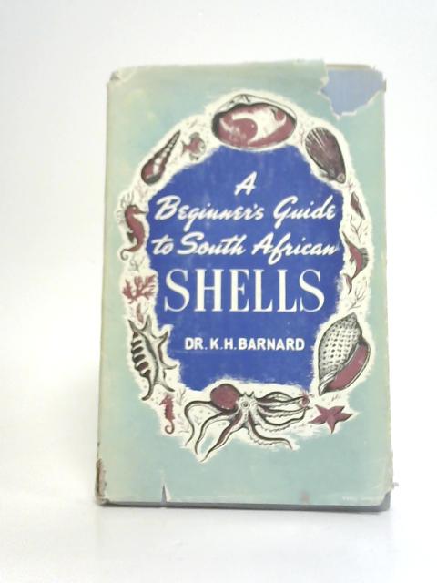 A Beginner's Guide to South African Shells | Old & Rare at World of ...