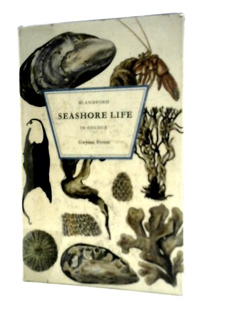 Seashore Life in Colour
