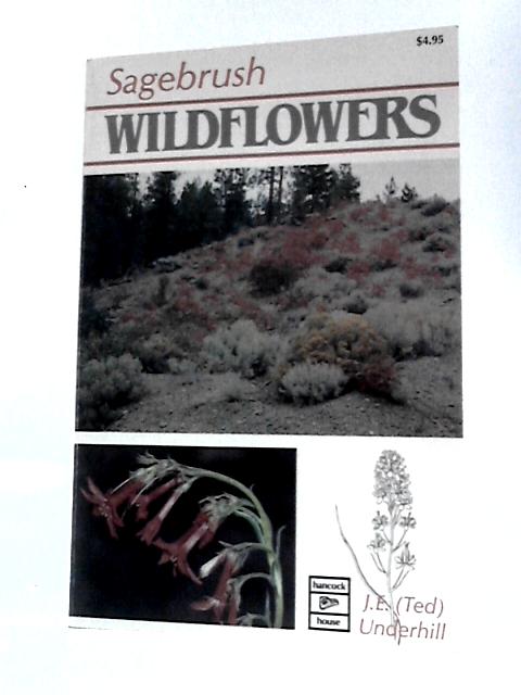 Sagebrush Wildflowers