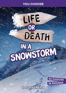 Life or Death in a Snowstorm 
