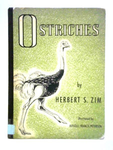 Ostriches 