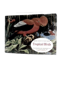 Tropical Birds 