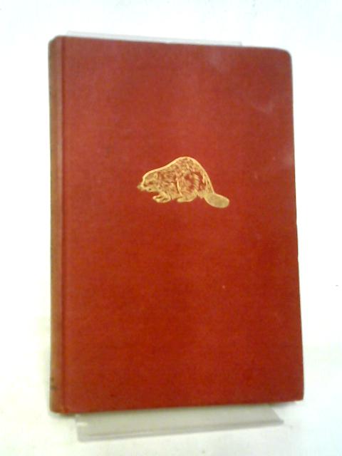Inca Adventure (Beaver Books)