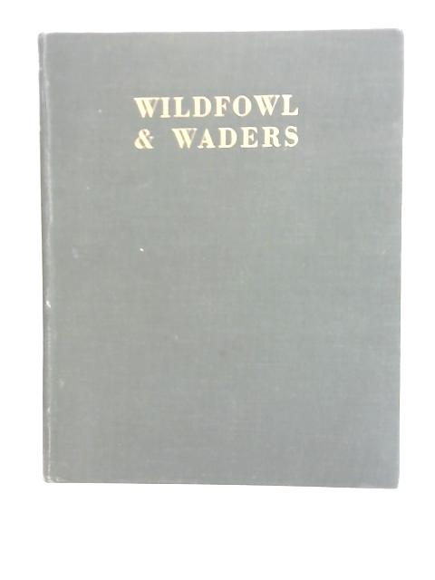 Wildfowl and Waders