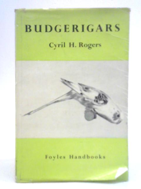 Budgerigars