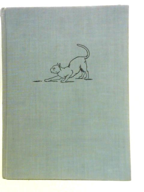 Introducing Cats
