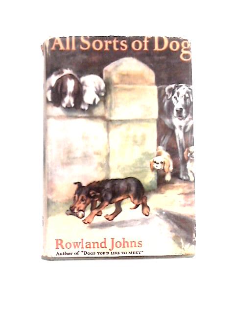 All Sorts of Dogs