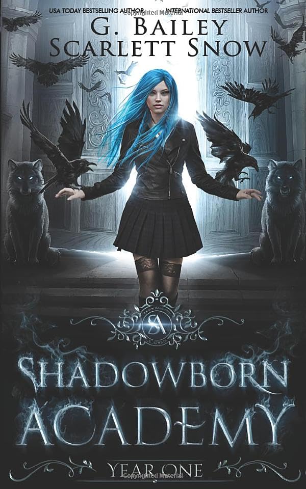 Shadowborn Academy: Year One (Dark Fae Academy Series)