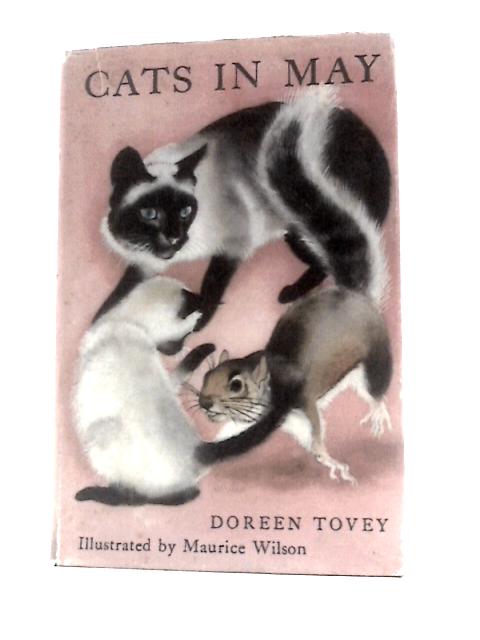 Cats in May
