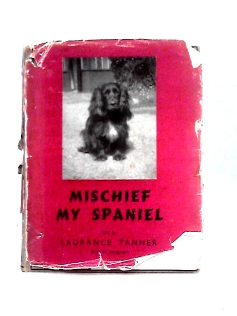 Mischief My Spaniel