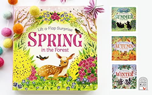 Pop-Up Surprise Spring in the Forest