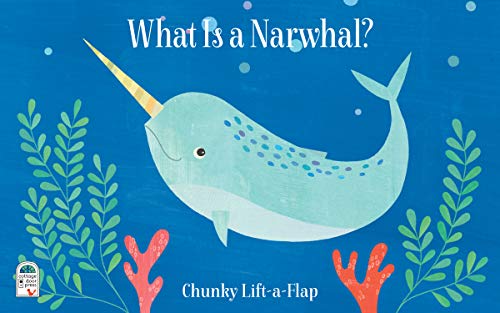 What Is a Narwhal?