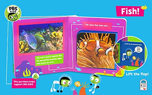 PBS Kids Fish!