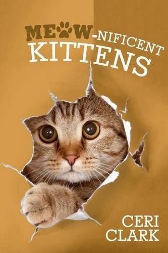 Meow-nificent Kittens