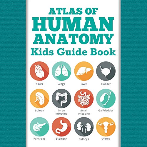 Atlas Of Human Anatomy