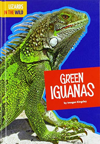 Green Iguanas