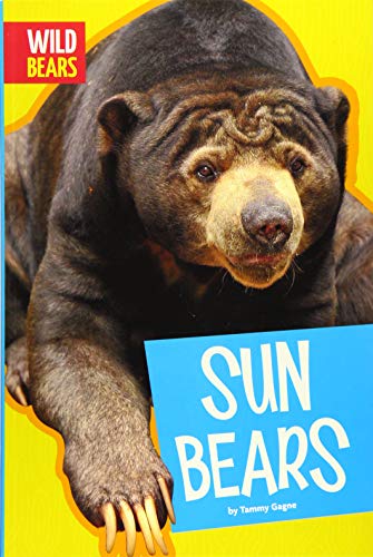 Sun Bears