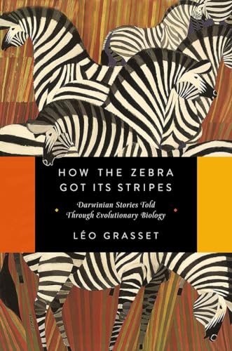 How the Zebra Got Its Stripes