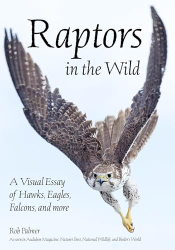 Raptors In The Wild
