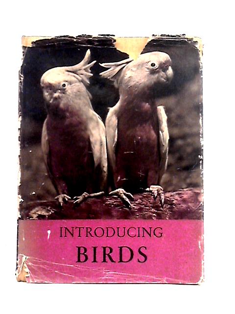 Introducing Birds