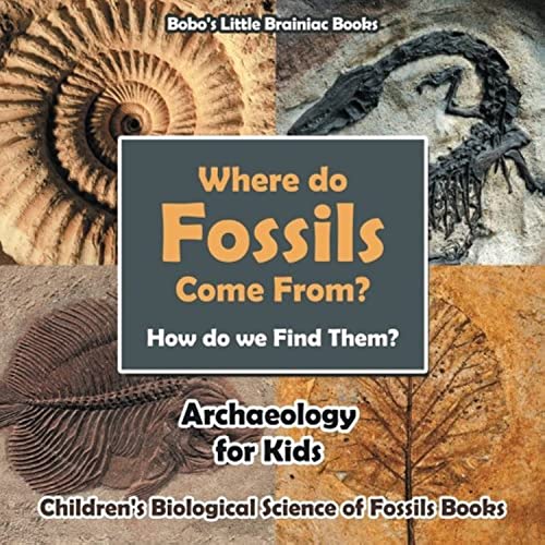Where Do Fossils Come From? How Do We Find Them? Archaeology for Kids - Children's Biological Science of Fossils Books