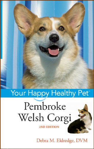 Pembroke Welsh Corgi