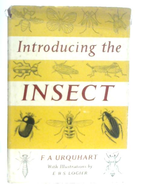 Introducing the Insect