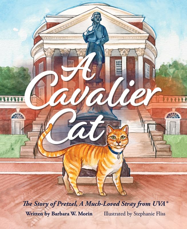 Cavalier Cat