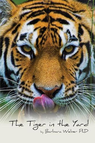 The Tiger in the Yard