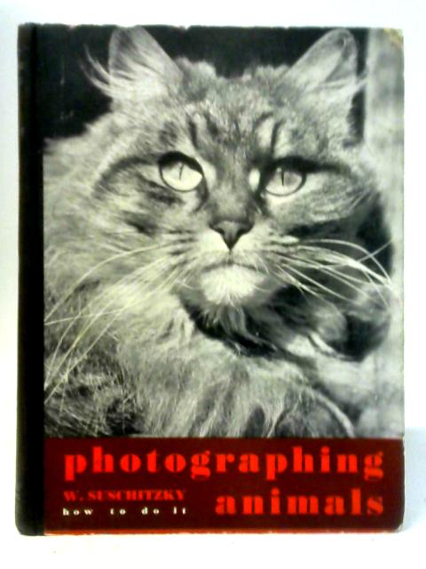 Photographing Animals