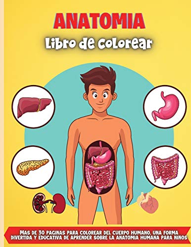 Anatomia libro de colorear