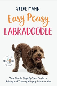 Easy Peasy Labradoodle 