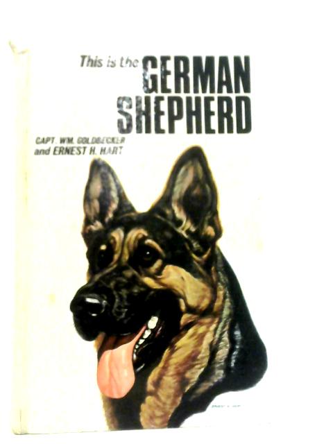 This Is the German Shepherd