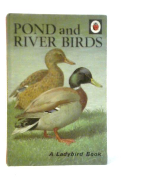 Pond and River Birds