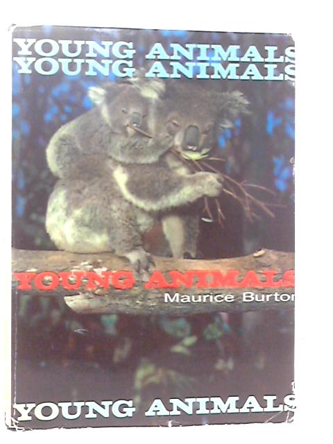 Young Animals