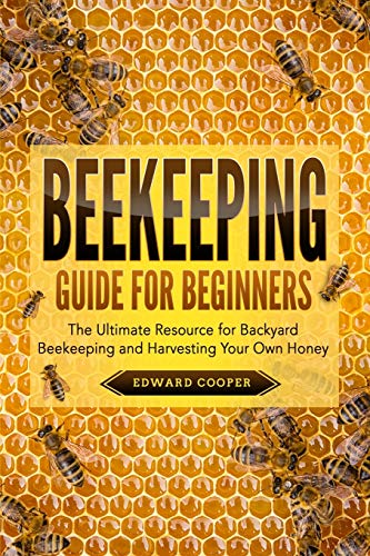 Beekeeping Guide for Beginners