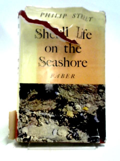 Shell Life On The Seashore