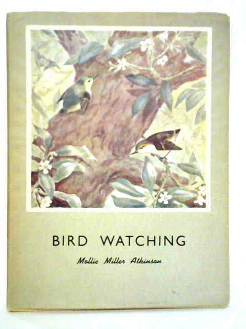 Bird Watching