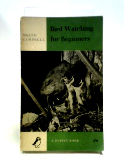 Bird Watching For Beginners