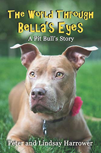 The World Through Bella's Eyes