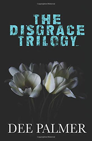 The Disgrace Trilogy: A contemporary steamy romance series