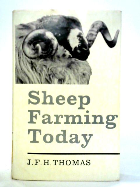 Sheep Farming Today
