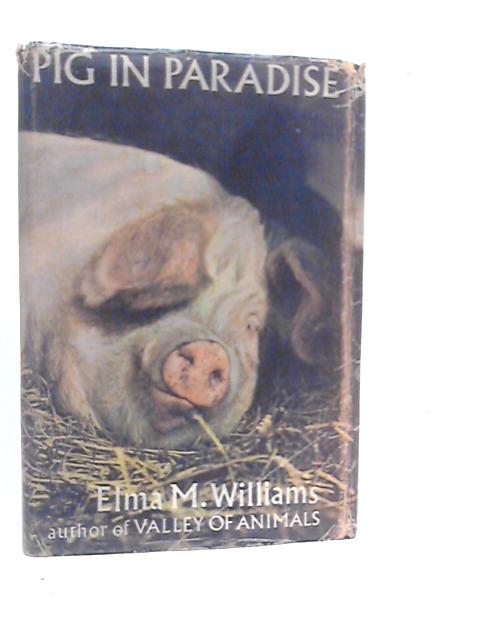 Pig in Paradise