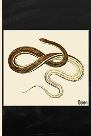 Snake