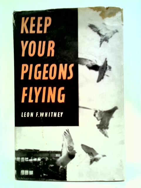Keep Your Pigeons Flying