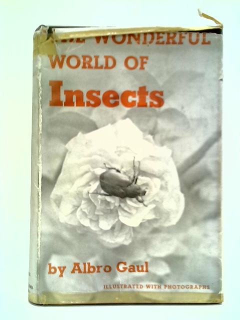The Wonderful World of Insects